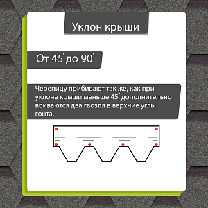 Купить Авокадо в Иркутске