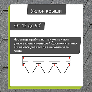 Купить Черника в Иркутске