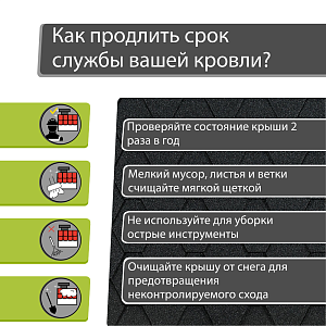 Купить Серый в Иркутске