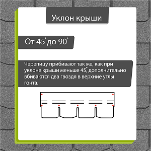 Купить Черника в Иркутске