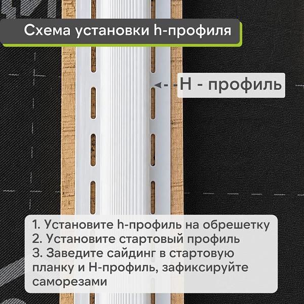 Docke ЛЮКС Н-профиль 3000мм Фундук