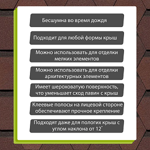 Купить Зрелый каштан в Иркутске
