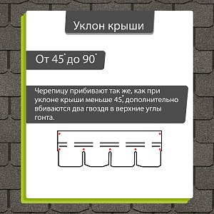 Купить Мокко в Иркутске