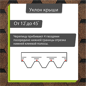 Купить Светло-коричневый в Иркутске