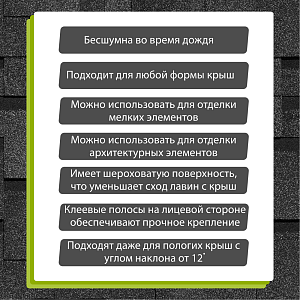 Купить Ежевика в Иркутске