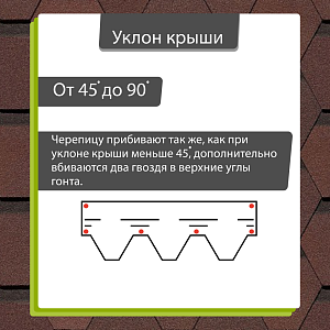 Купить Зрелый каштан в Иркутске