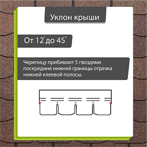 Купить Арахис в Иркутске