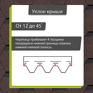 Купить Корица в Иркутске